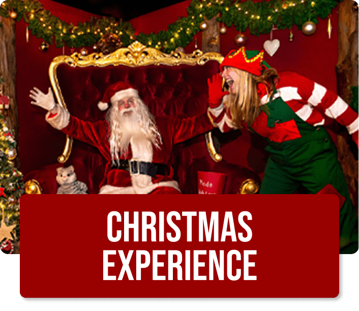 Panel for Tulleys Christmas Experience
