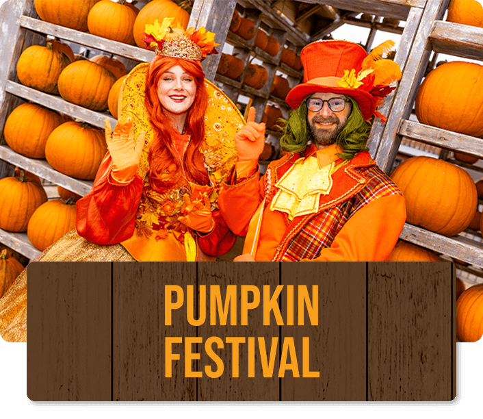 Panel for Tulleys Pumpkin Festival