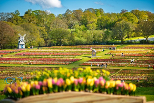 Tulleys Farm - Unique Seasonal Events & Festivals - Sussex